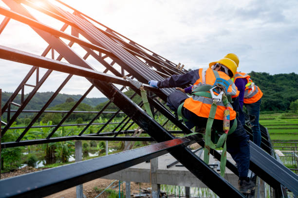Best Residential Roofing Contractor  in Casselton, ND