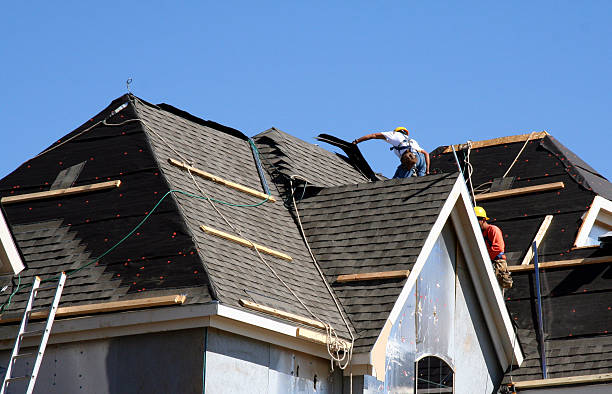Best Roof Repair Services  in Casselton, ND