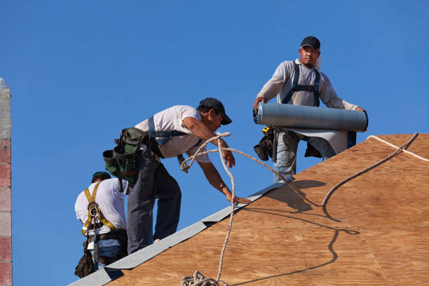 Best Roof Gutter Cleaning  in Casselton, ND