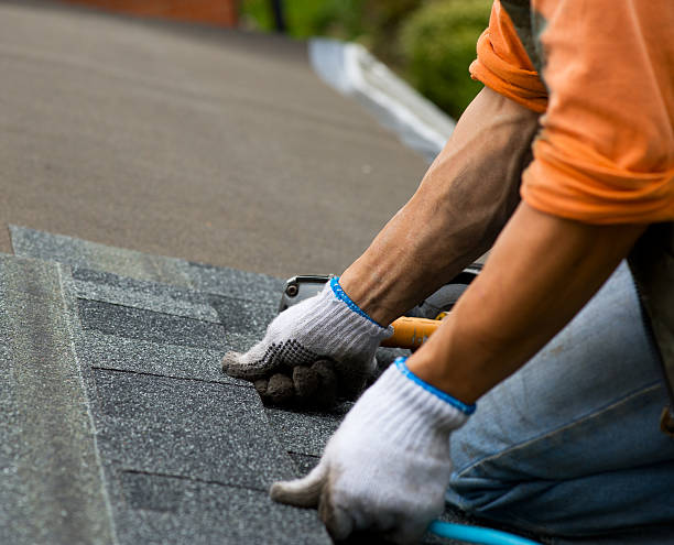 Best Residential Roofing Contractor  in Casselton, ND