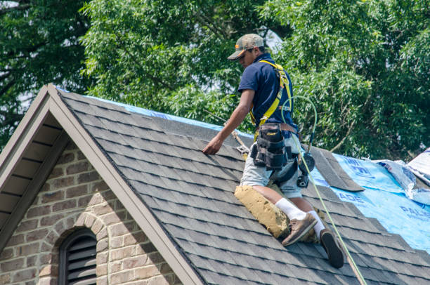 Best Shingle Roofing Installation  in Casselton, ND