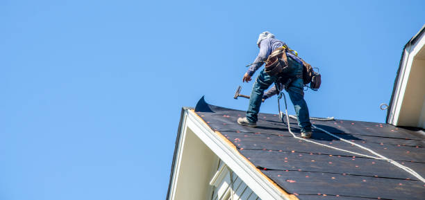 Best Metal Roofing Contractor  in Casselton, ND